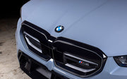 IND Painted BMW Roundel Set w/ Ceramic Pro Coating