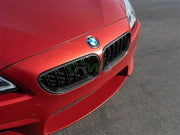 RW Carbon BMW F06 F12 F13 Carbon Fiber Grilles